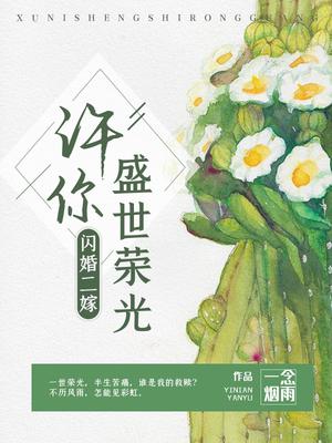 闪婚二嫁：许你盛世荣光