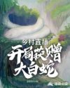 无上剑主