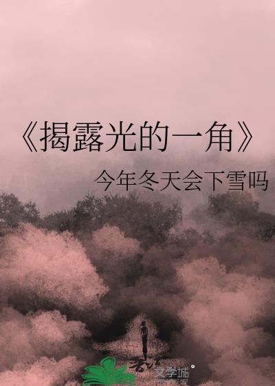 《揭露光的一角》