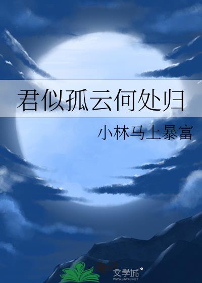 君似孤云何处归