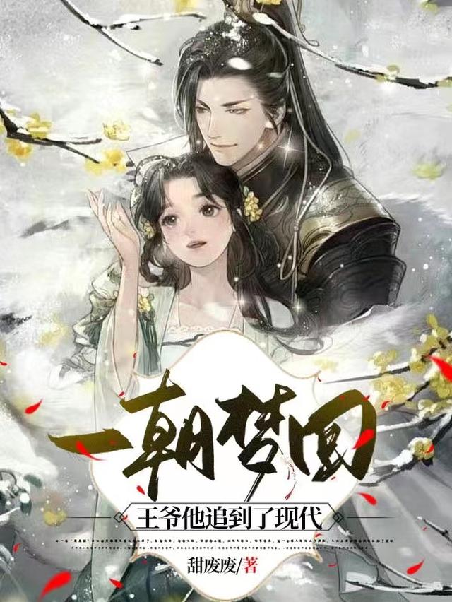 一朝梦回,王爷他追到了现代