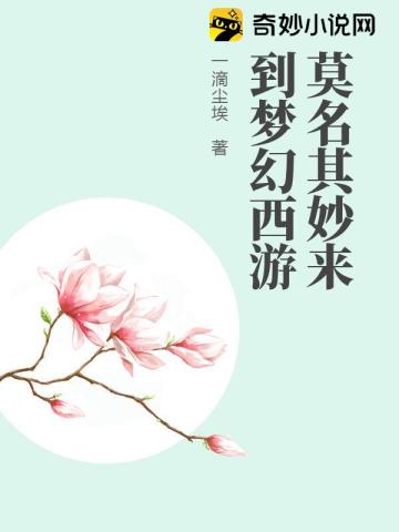 莫名其妙来到梦幻西游