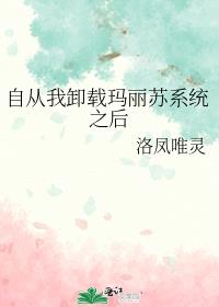 自从我卸载玛丽苏系统之后