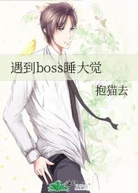 遇到boss睡大觉