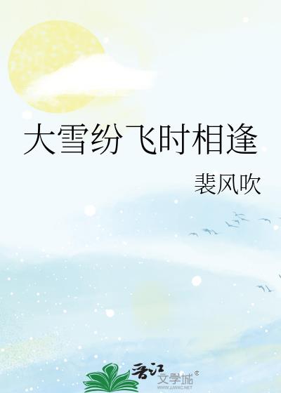 大雪纷飞时相逢