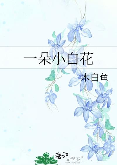 一朵小白花