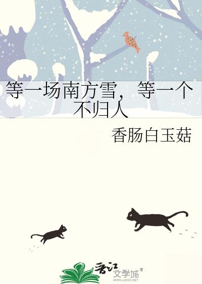 等一场南方雪，等一个不归人