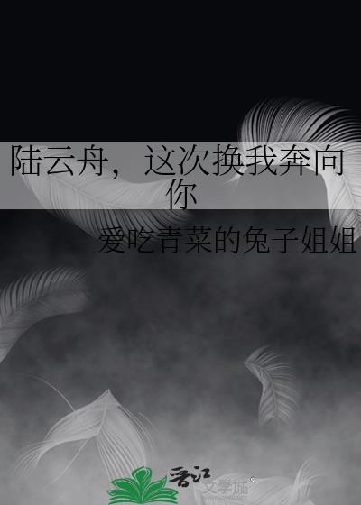 陆云舟，这次换我奔向你