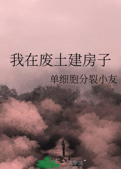 我在废土建房子