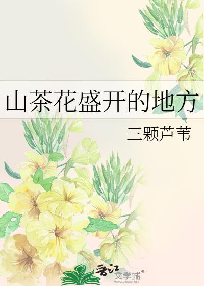 山茶花盛开的地方